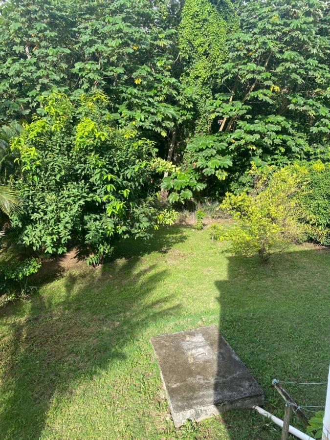 Keikei'Shaven Apartment Gros Islet Exterior foto